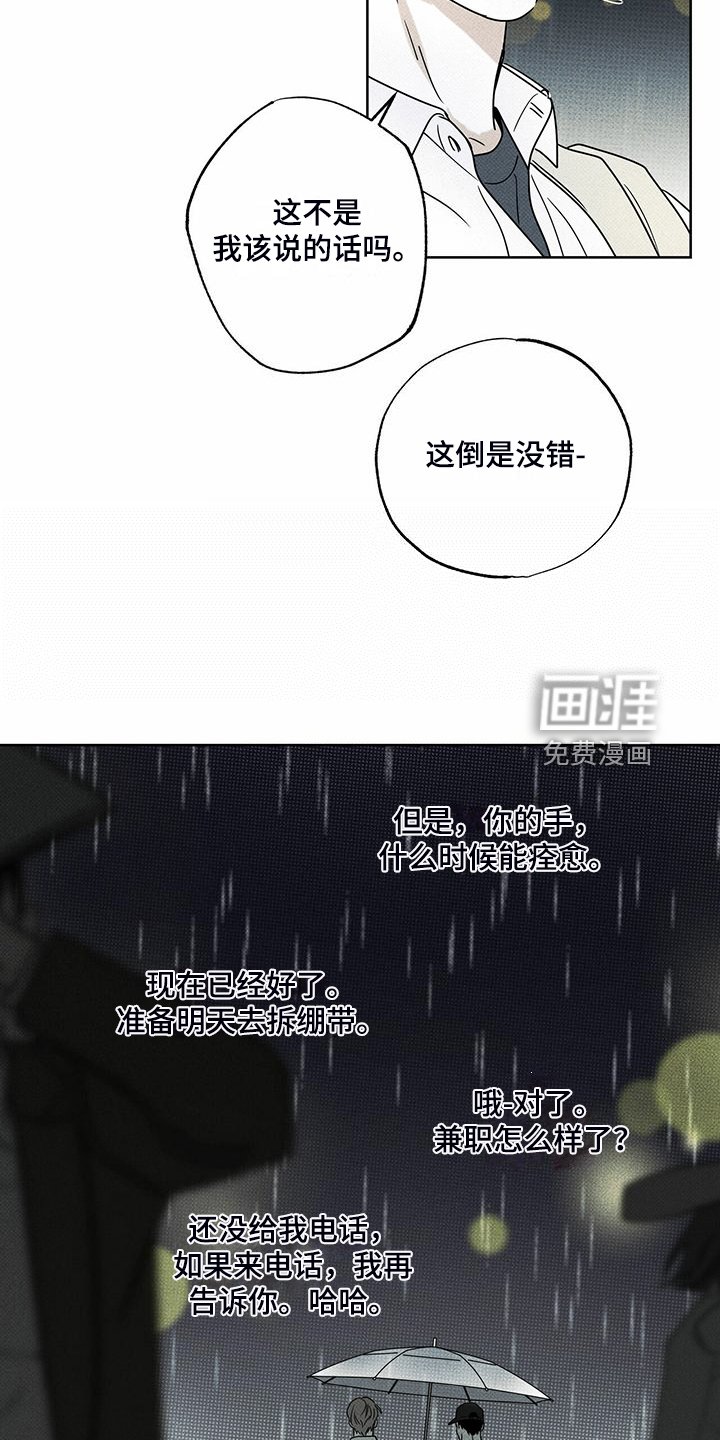 第44章：明显的答案
