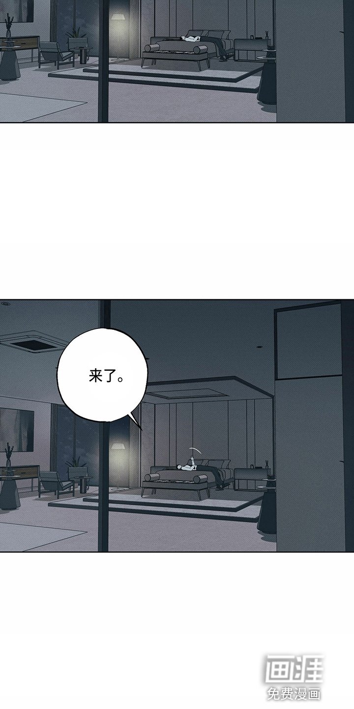 第54章：来了