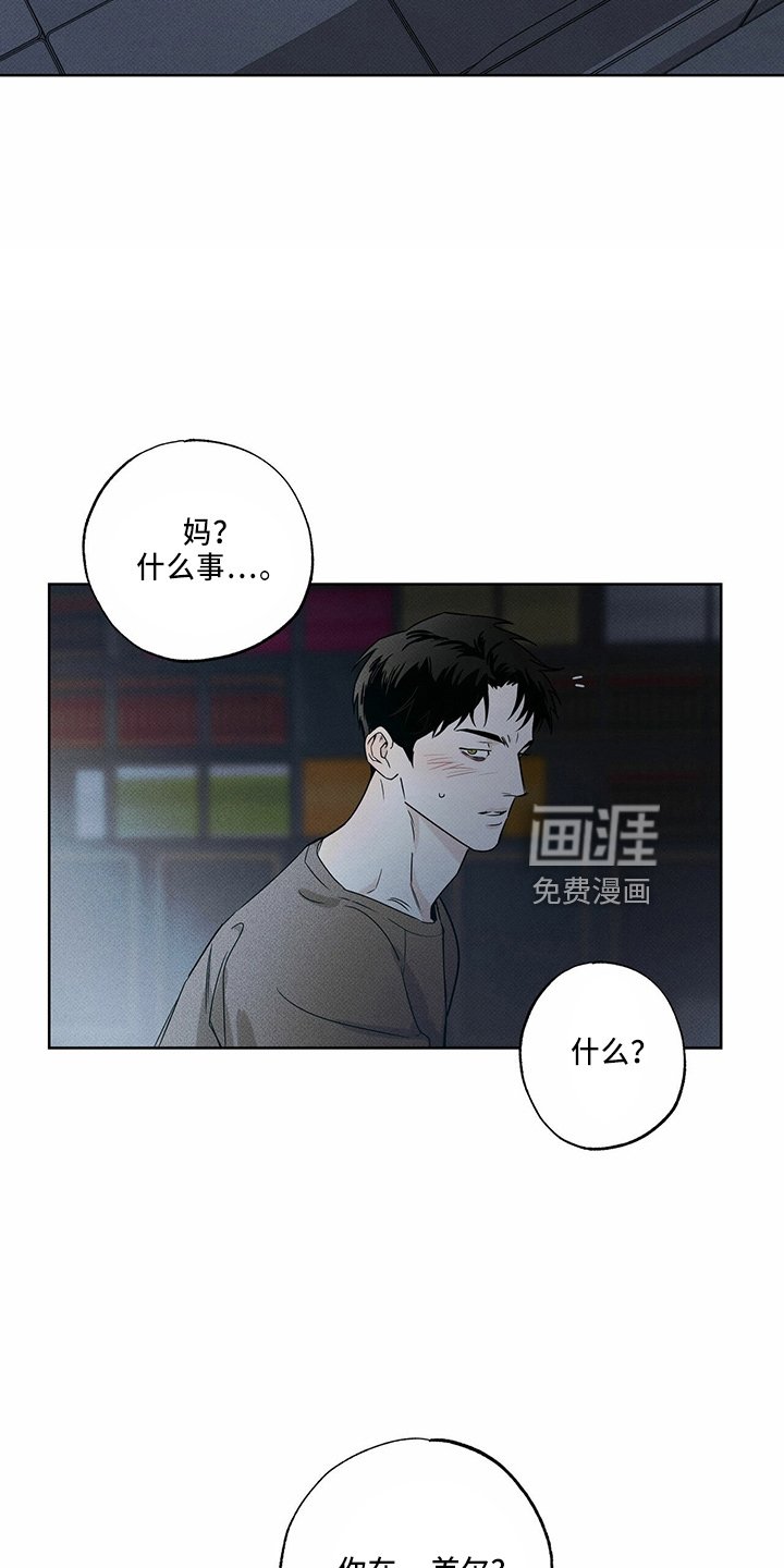 第56章：电话