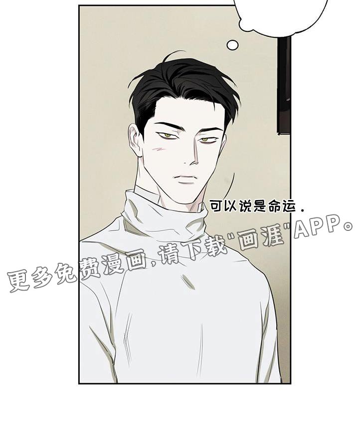 第90章：【第二季】缘分
