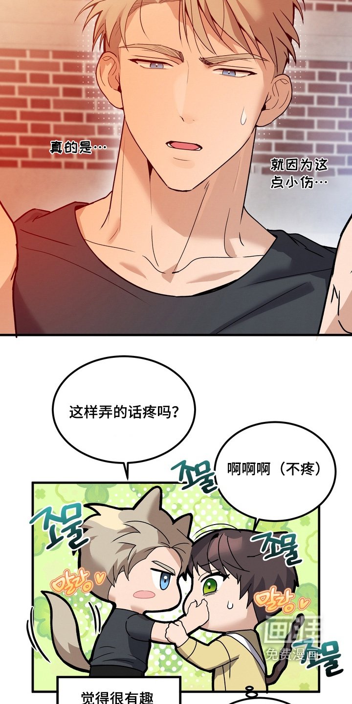 第16章：好奇