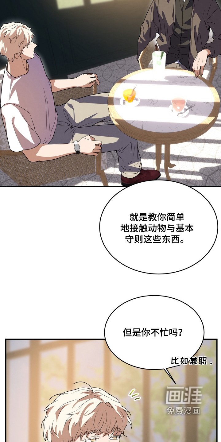 第34章：我也喜欢小狗