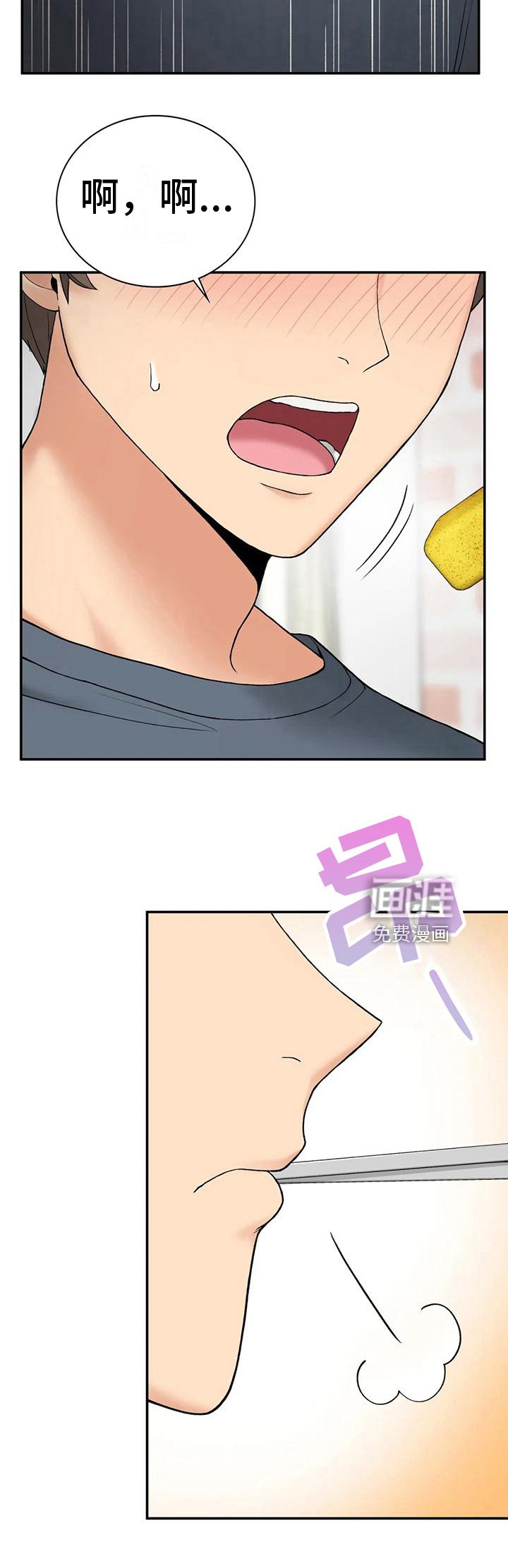 第17章：喂食