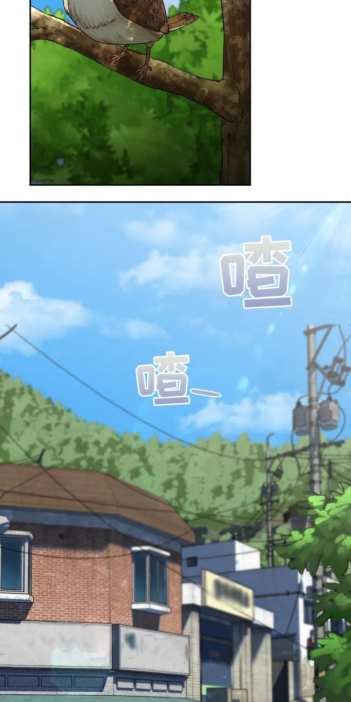 第3章：回乡