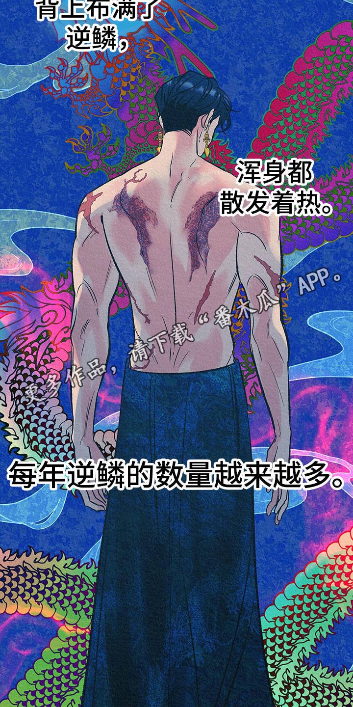 第12章：逆鳞