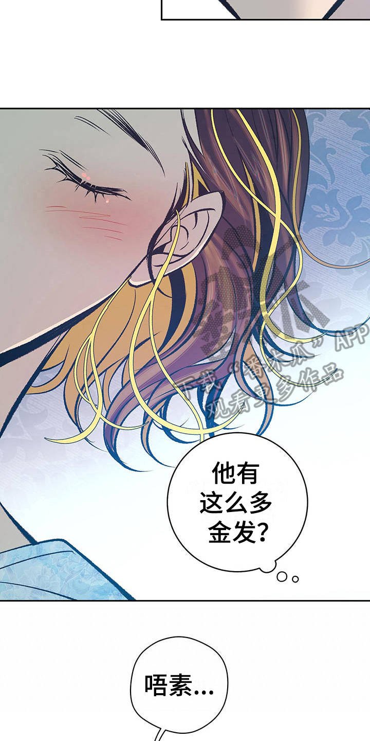 第17章：上头了