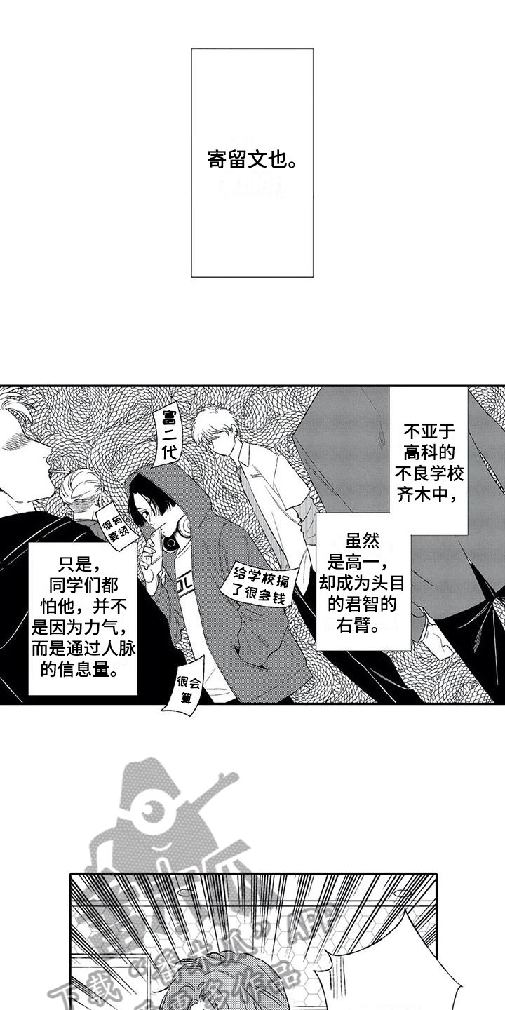 第11章：猜测