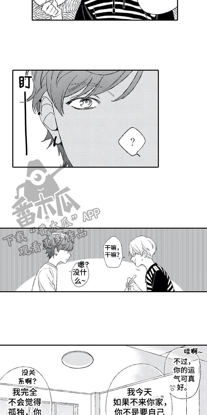 第11章：猜测