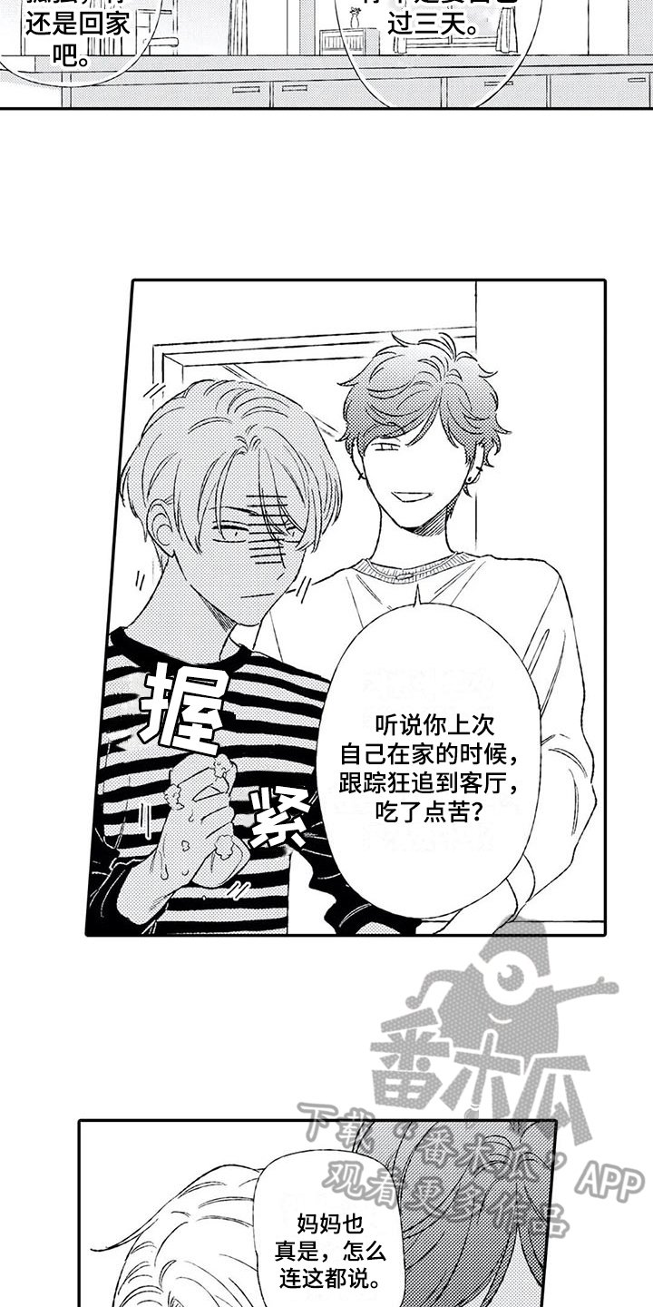 第11章：猜测
