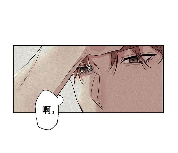 第2章：我喜欢你