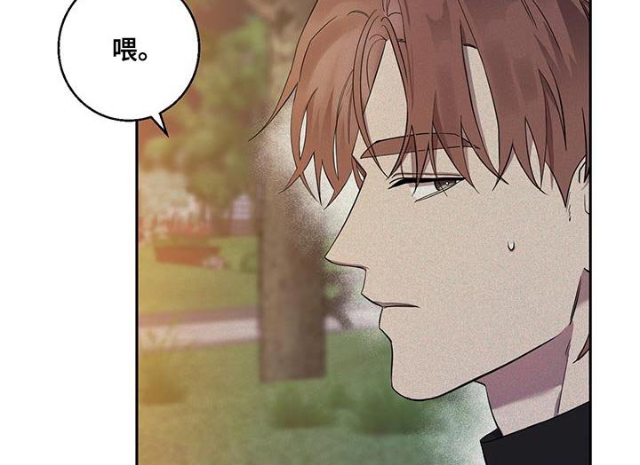 第22章：同样的想法