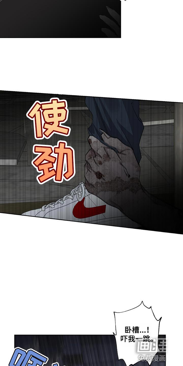 第36章：难以置信的说法