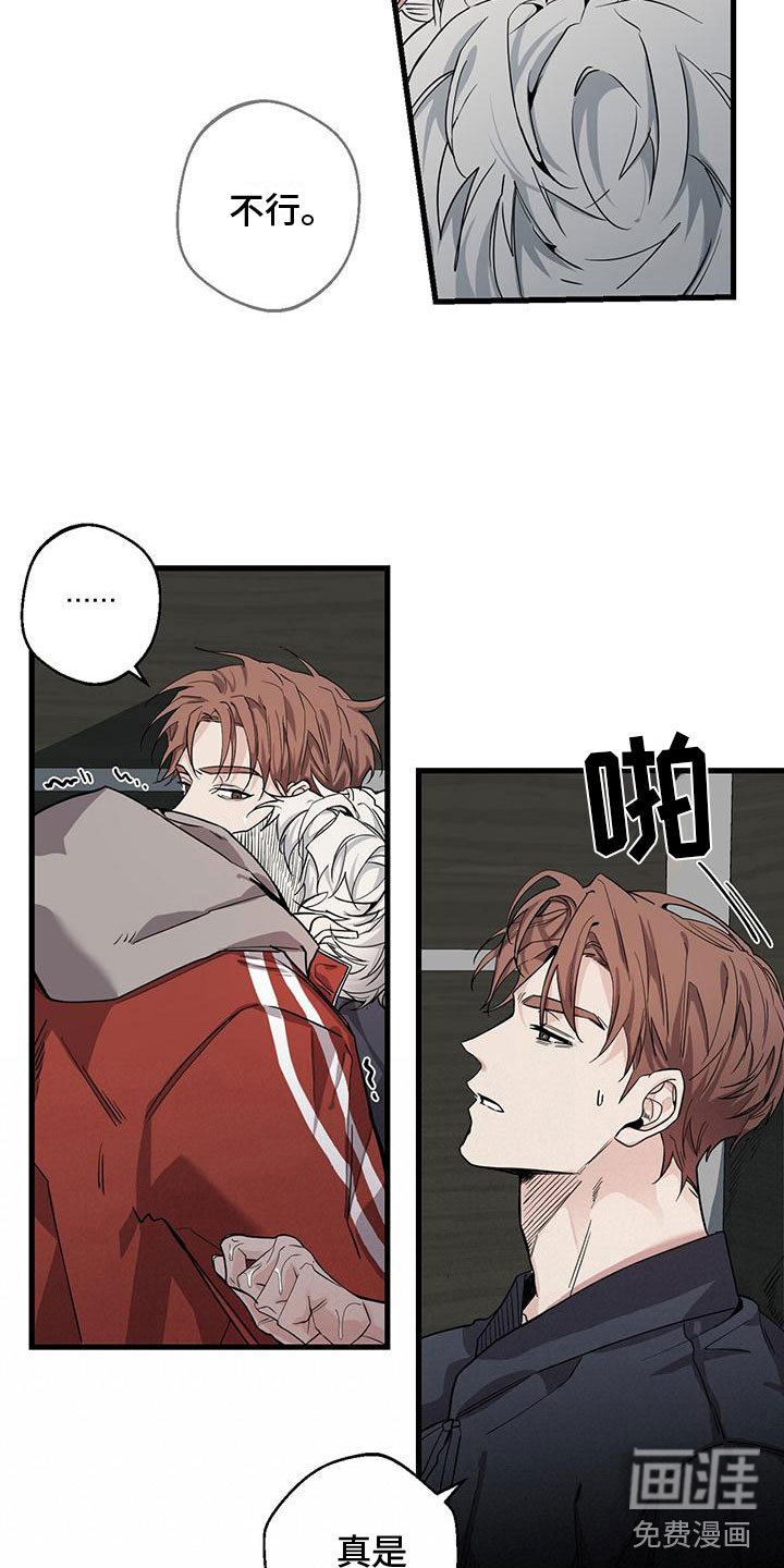第6章：太棒了