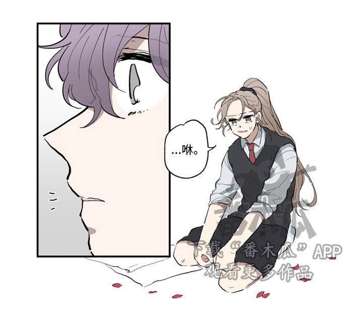 第11章：闹剧