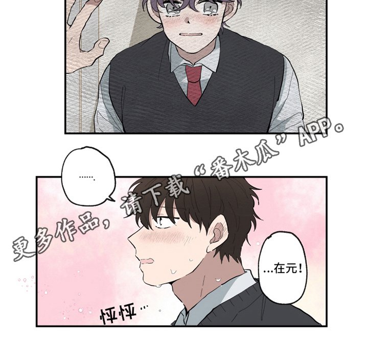 第12章：心动