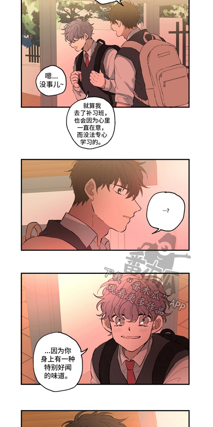 第14章：味道