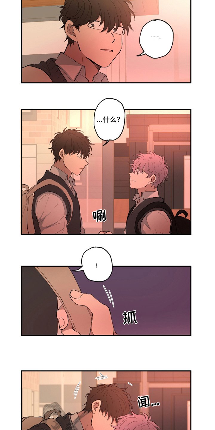 第14章：味道