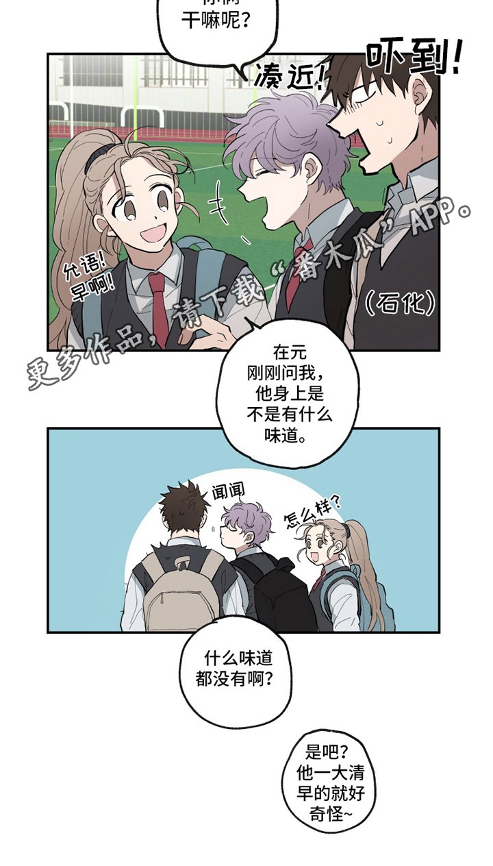 第14章：味道