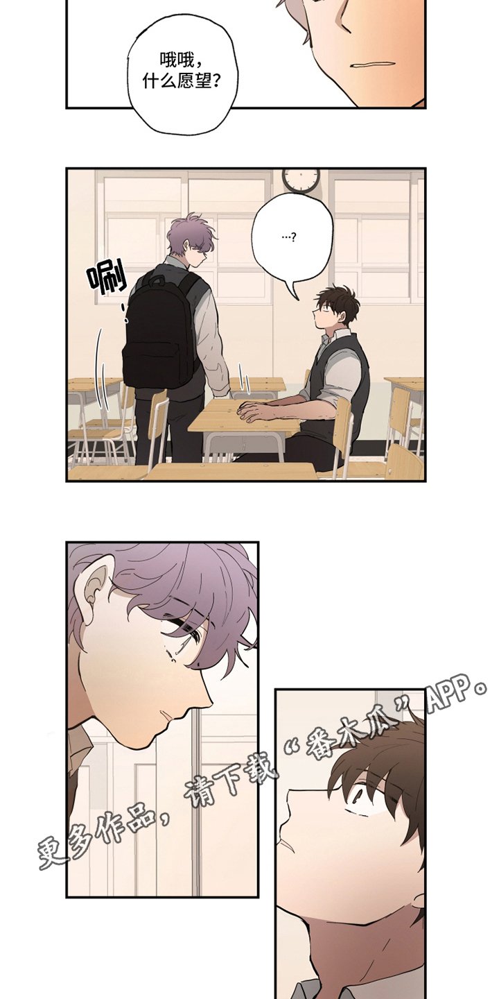 第17章：愿望