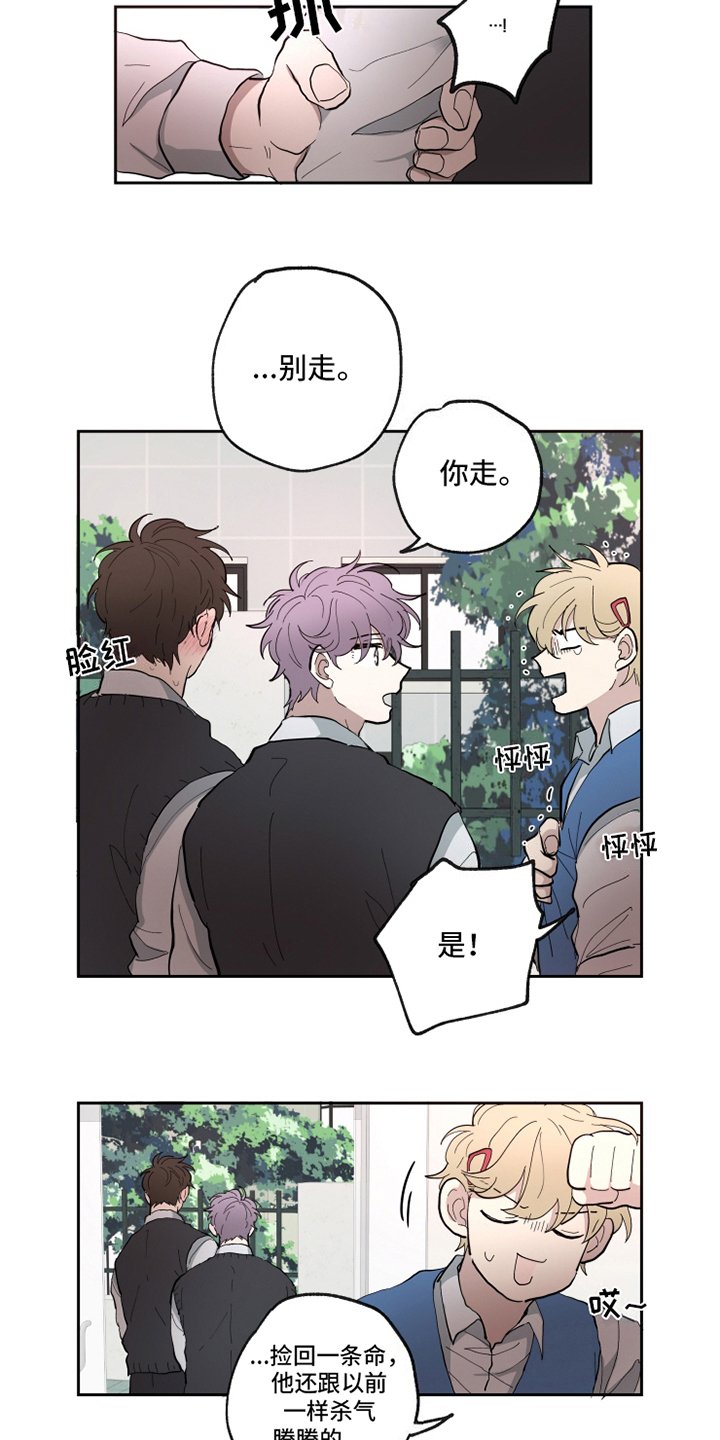 第19章：胡思乱想
