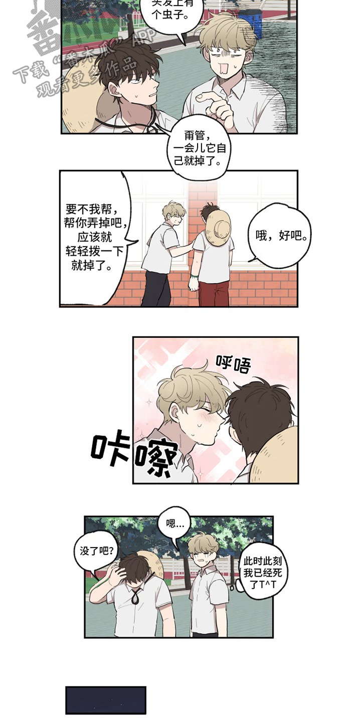 第29章：执行
