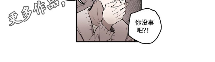 第33章：理解