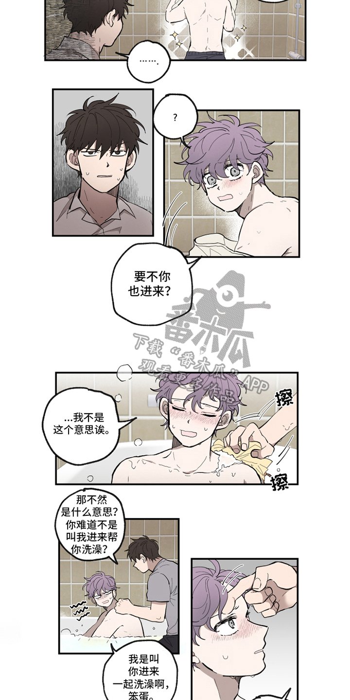第34章：反应