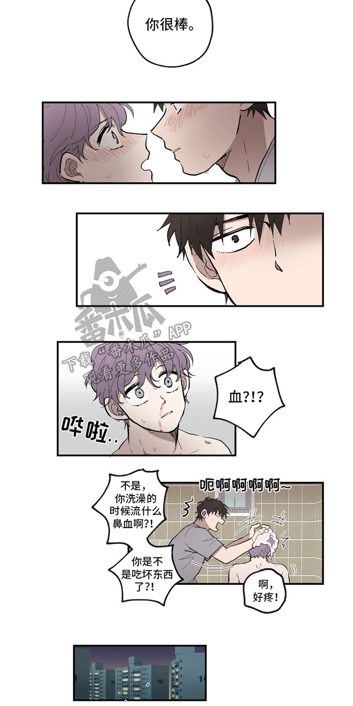 第34章：反应