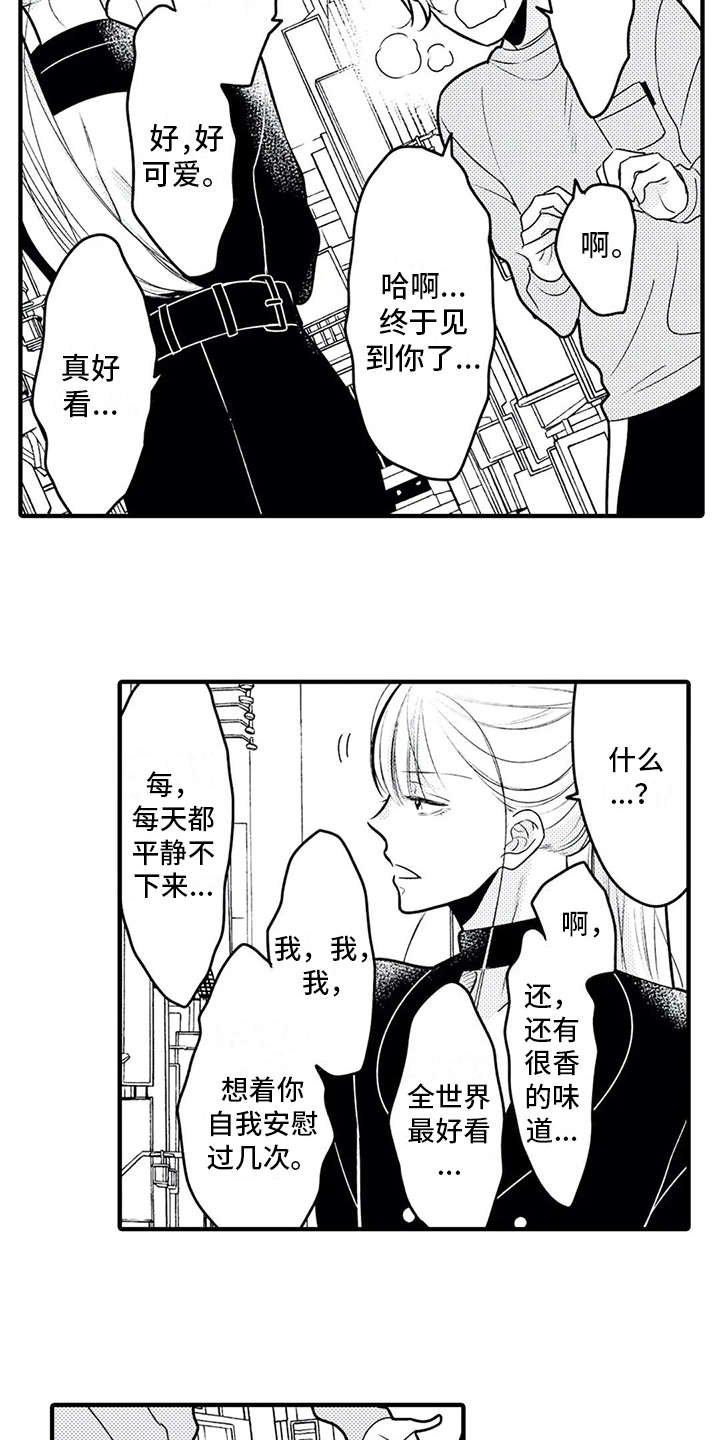第13章：粉丝