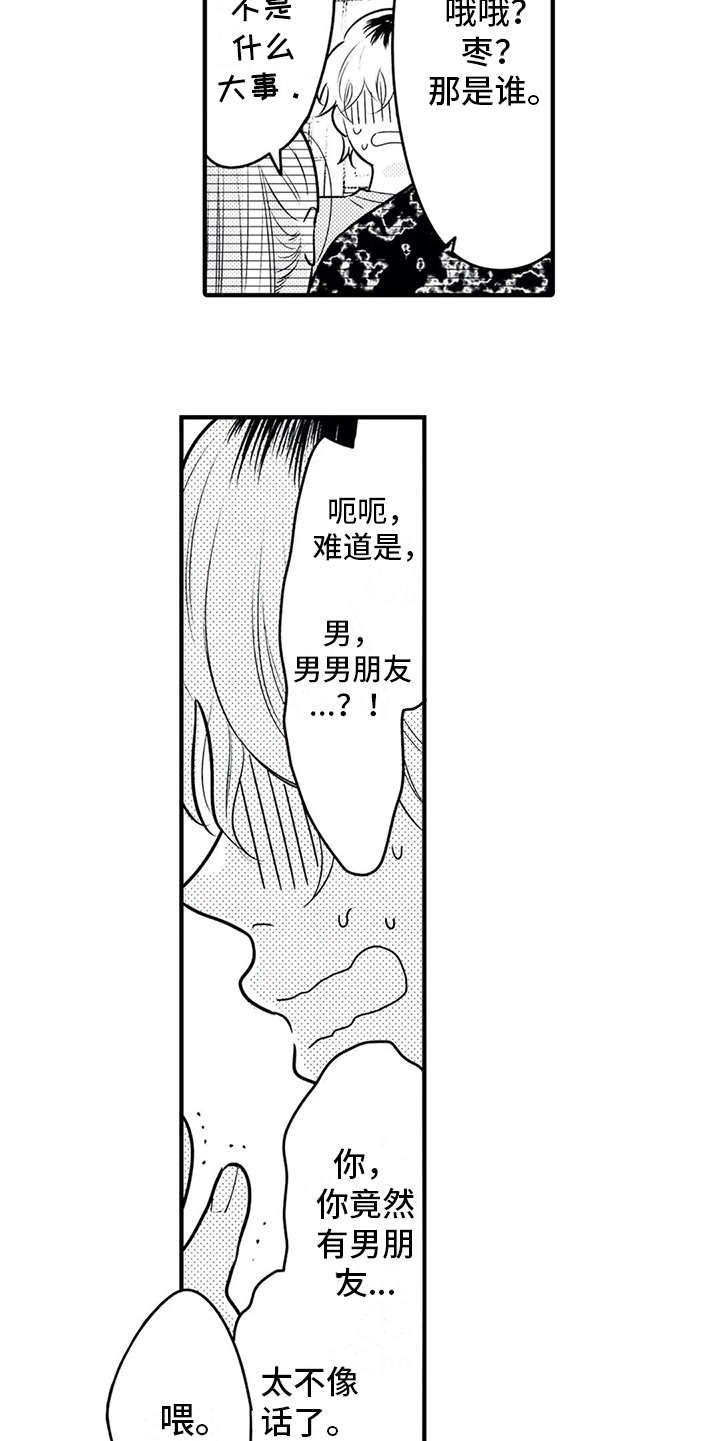 第13章：粉丝
