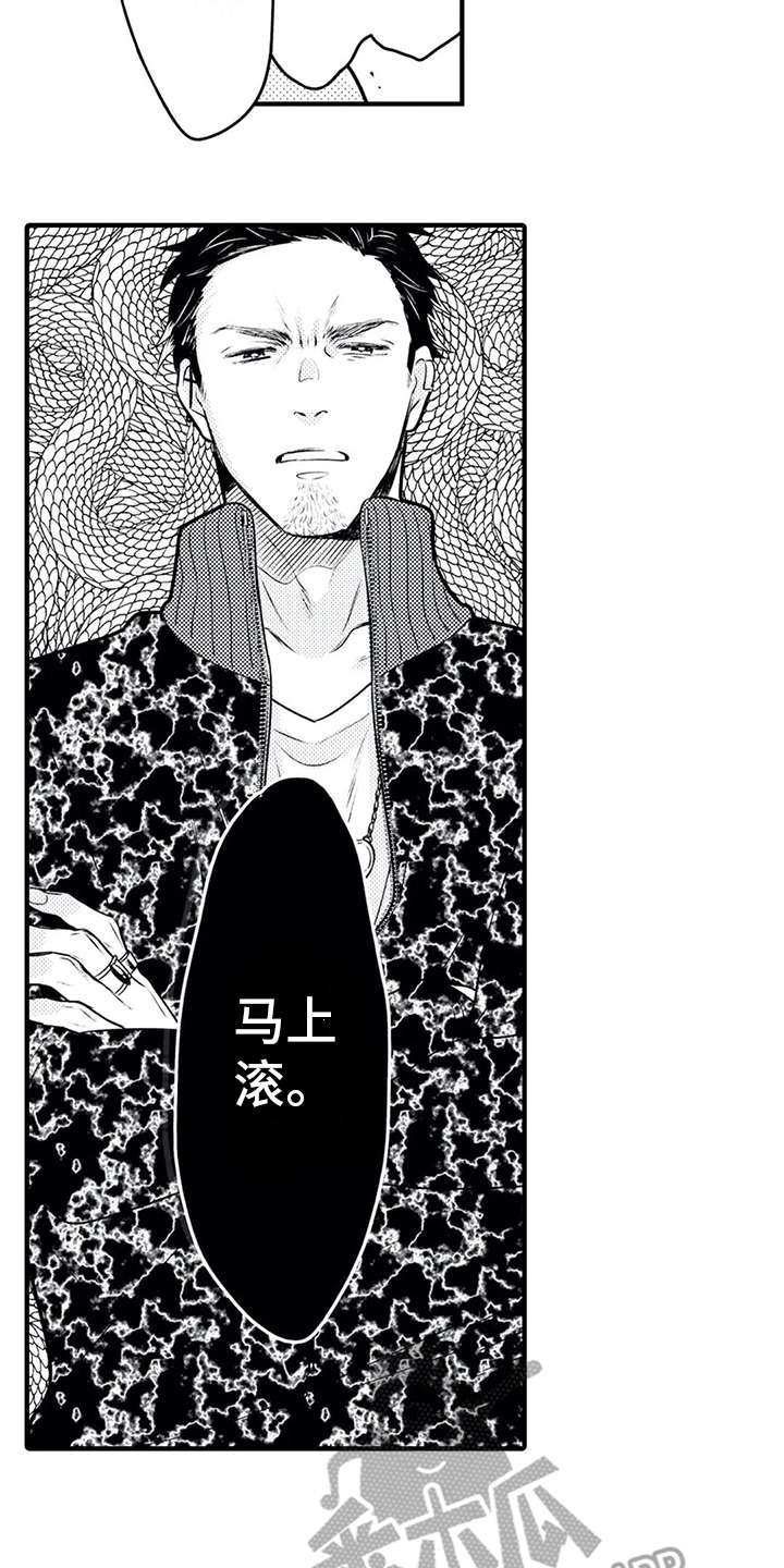 第13章：粉丝