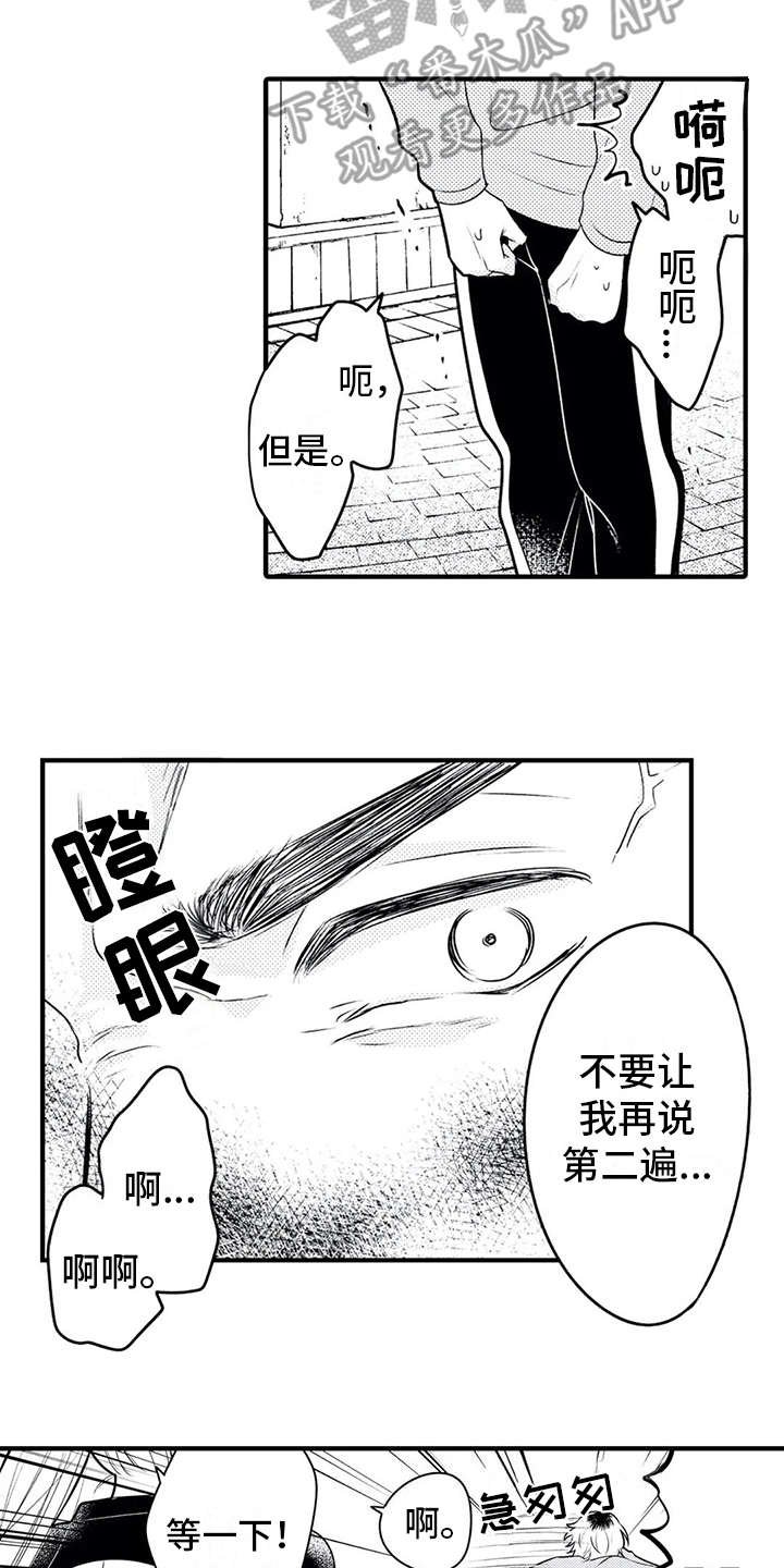 第13章：粉丝