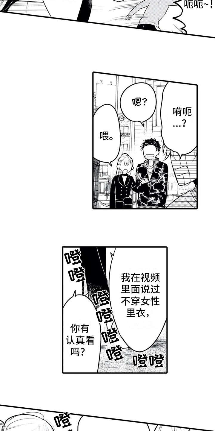 第13章：粉丝