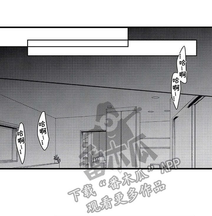 第17章：很累