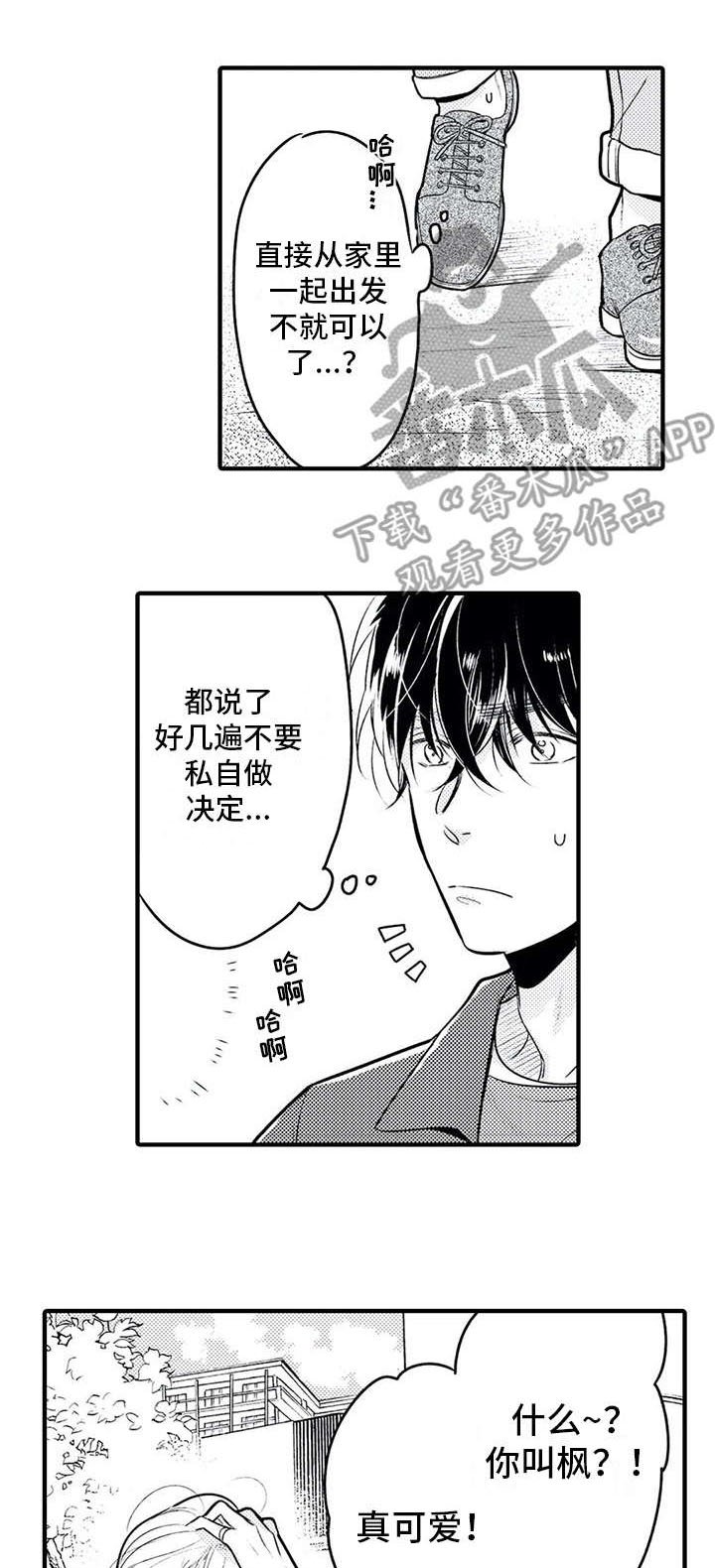 第8章：集中不了