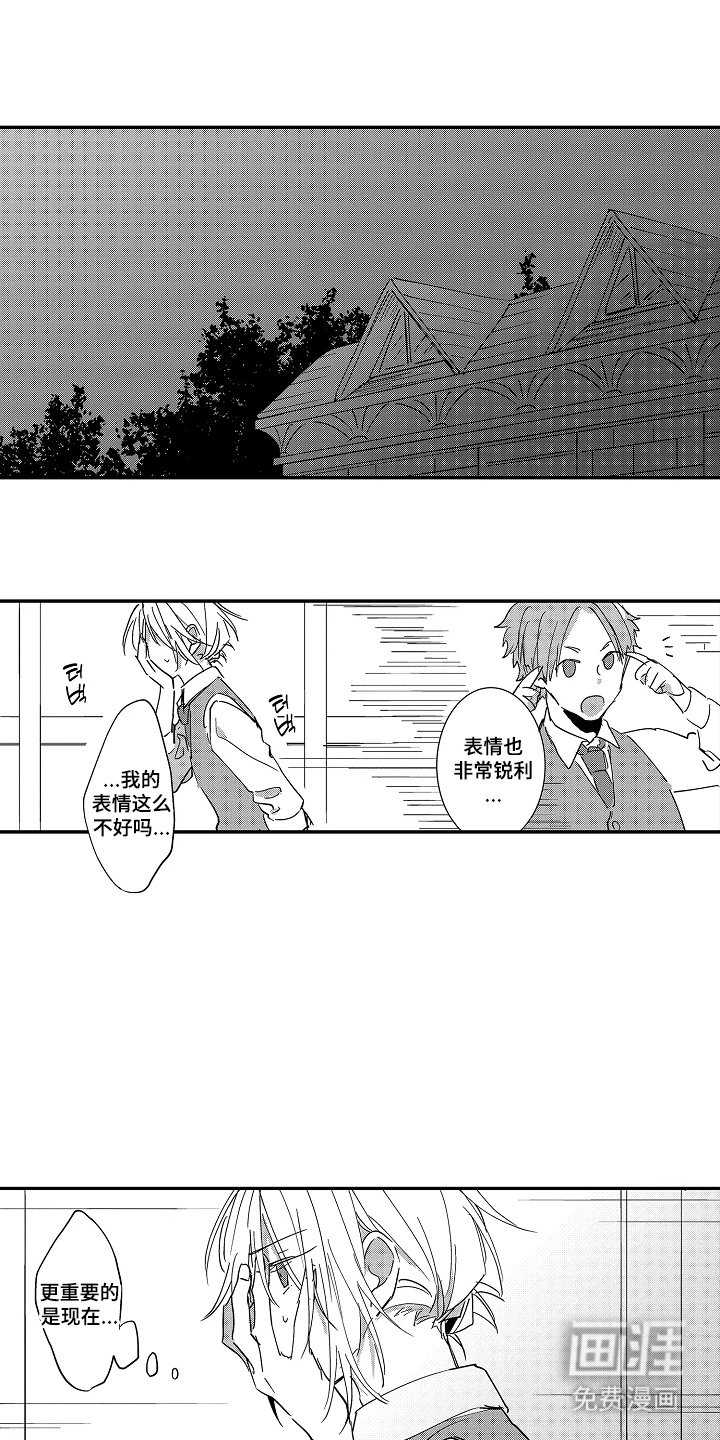 第13章：愚蠢的文化