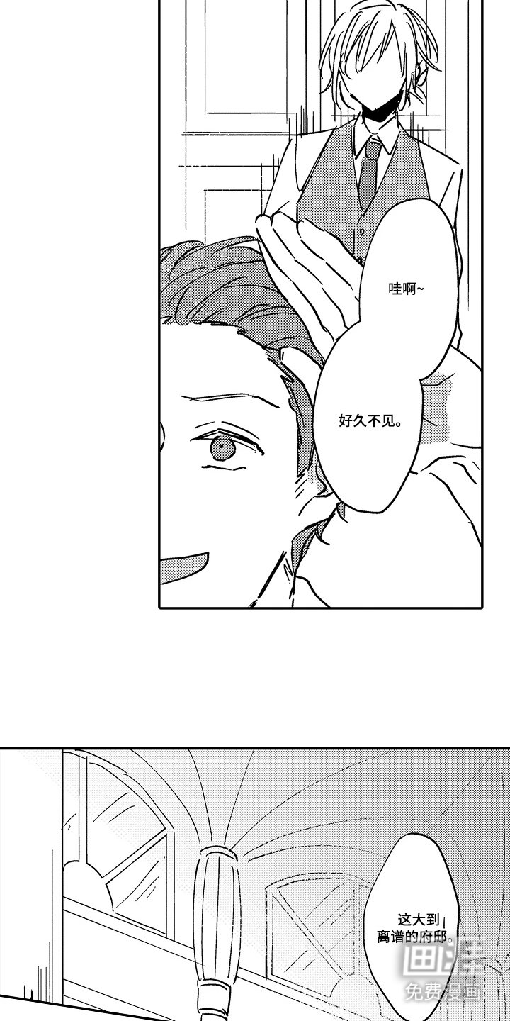第13章：愚蠢的文化