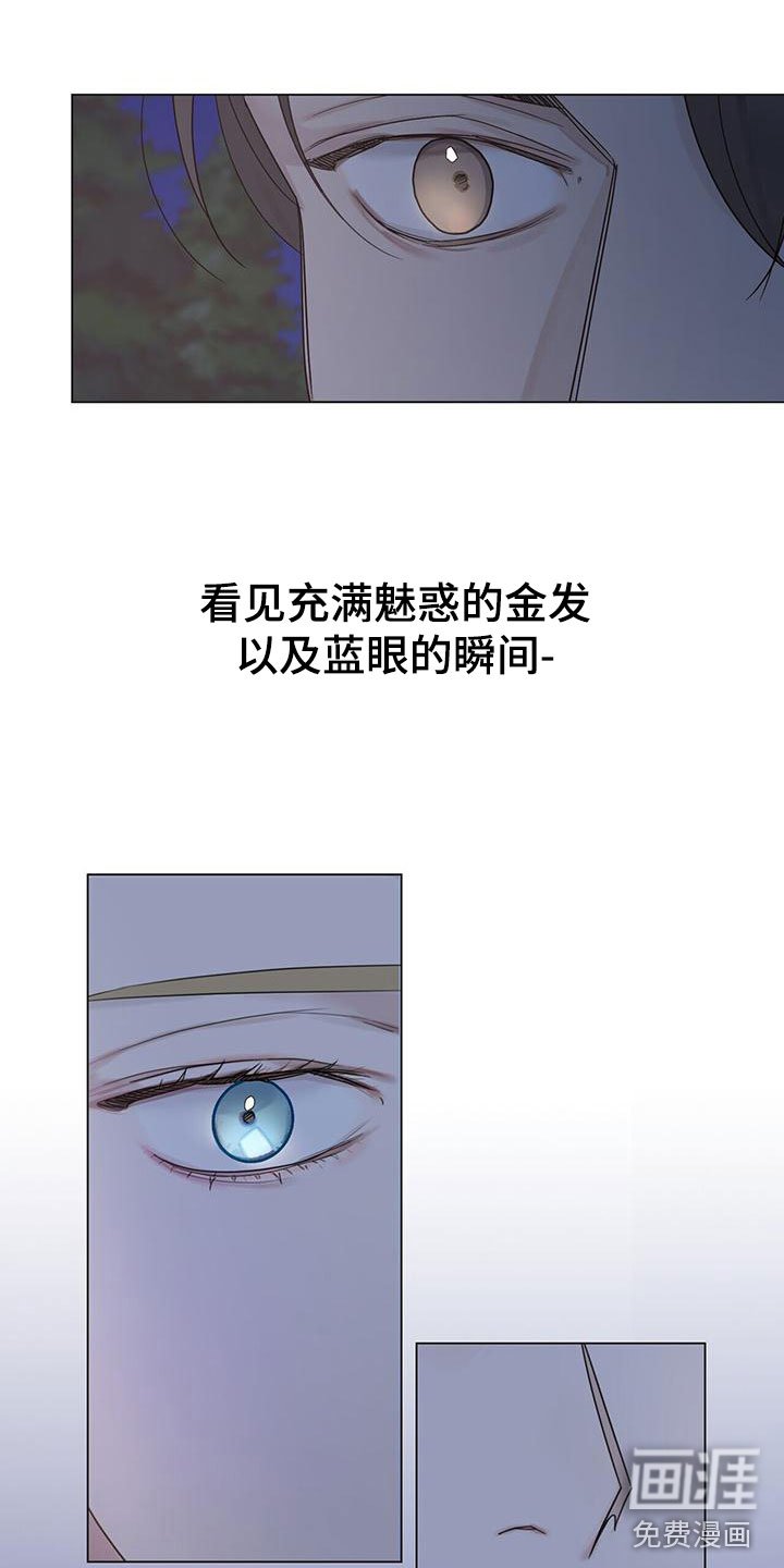 第17章：压制