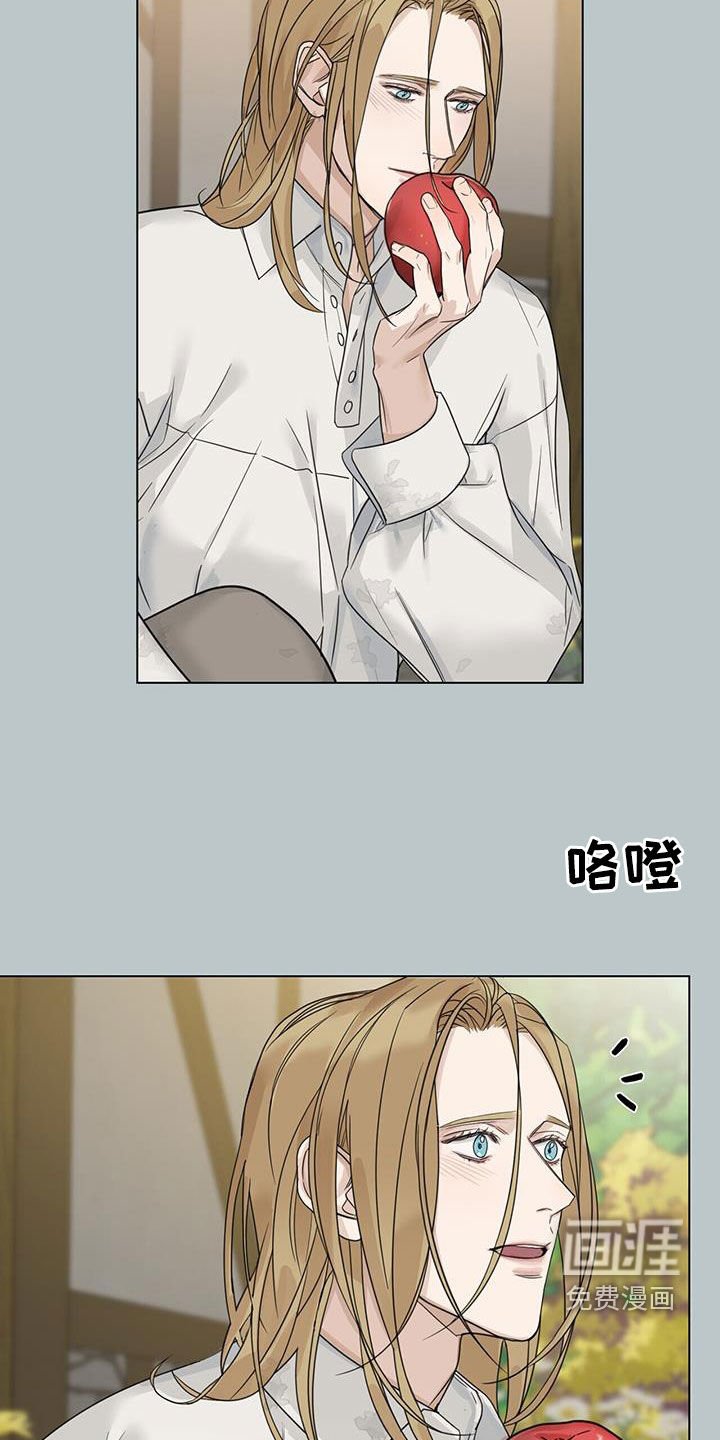 第28章：态度变化