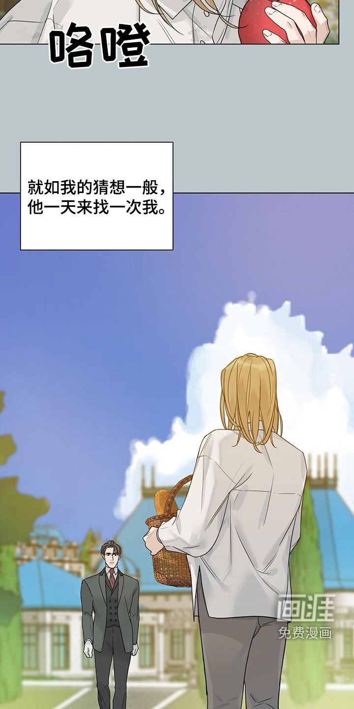 第28章：态度变化