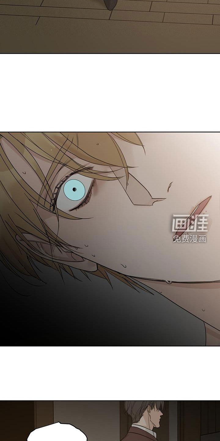 第43章：都是谎言