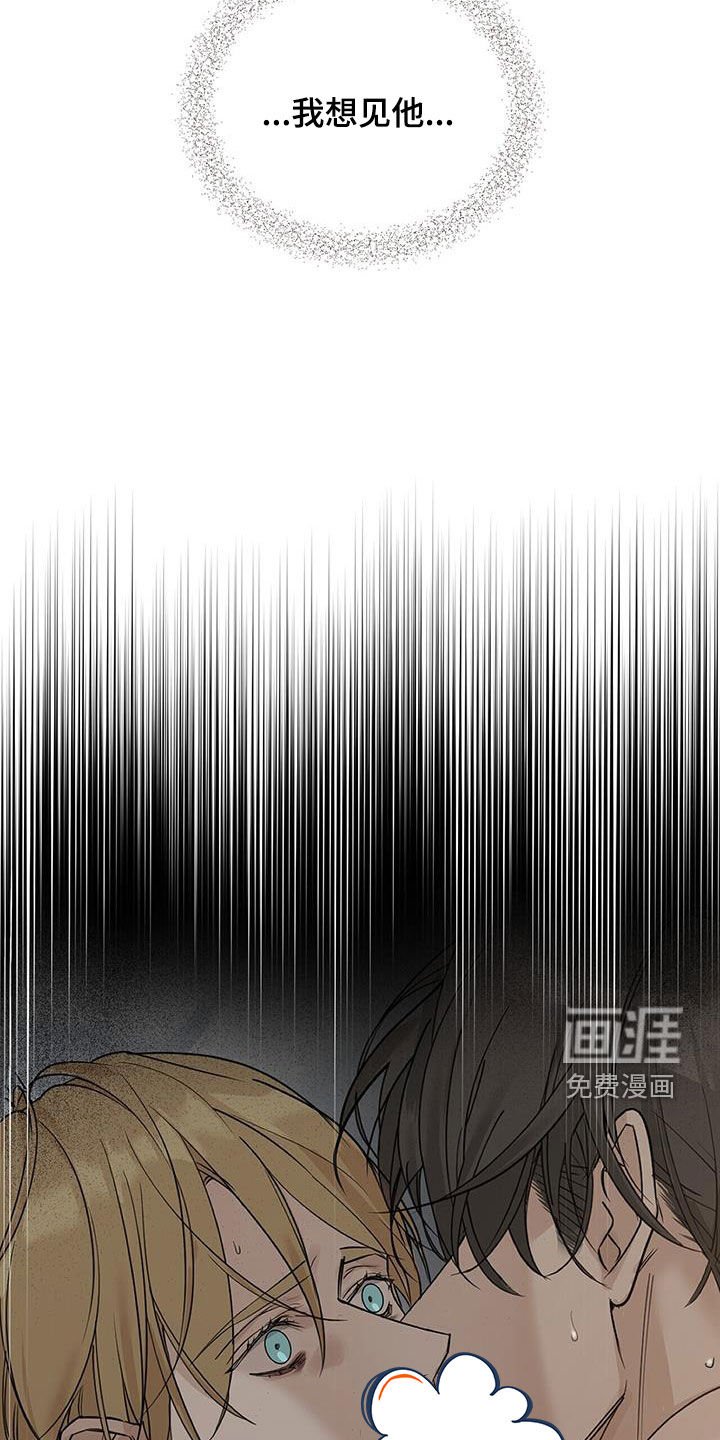 第43章：都是谎言
