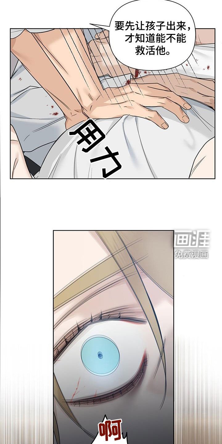 第46章：双胞胎