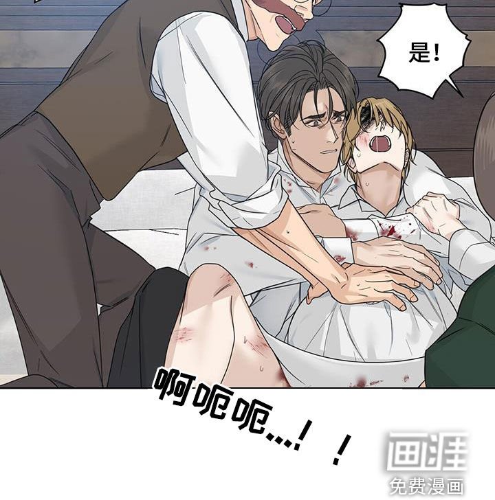 第46章：双胞胎