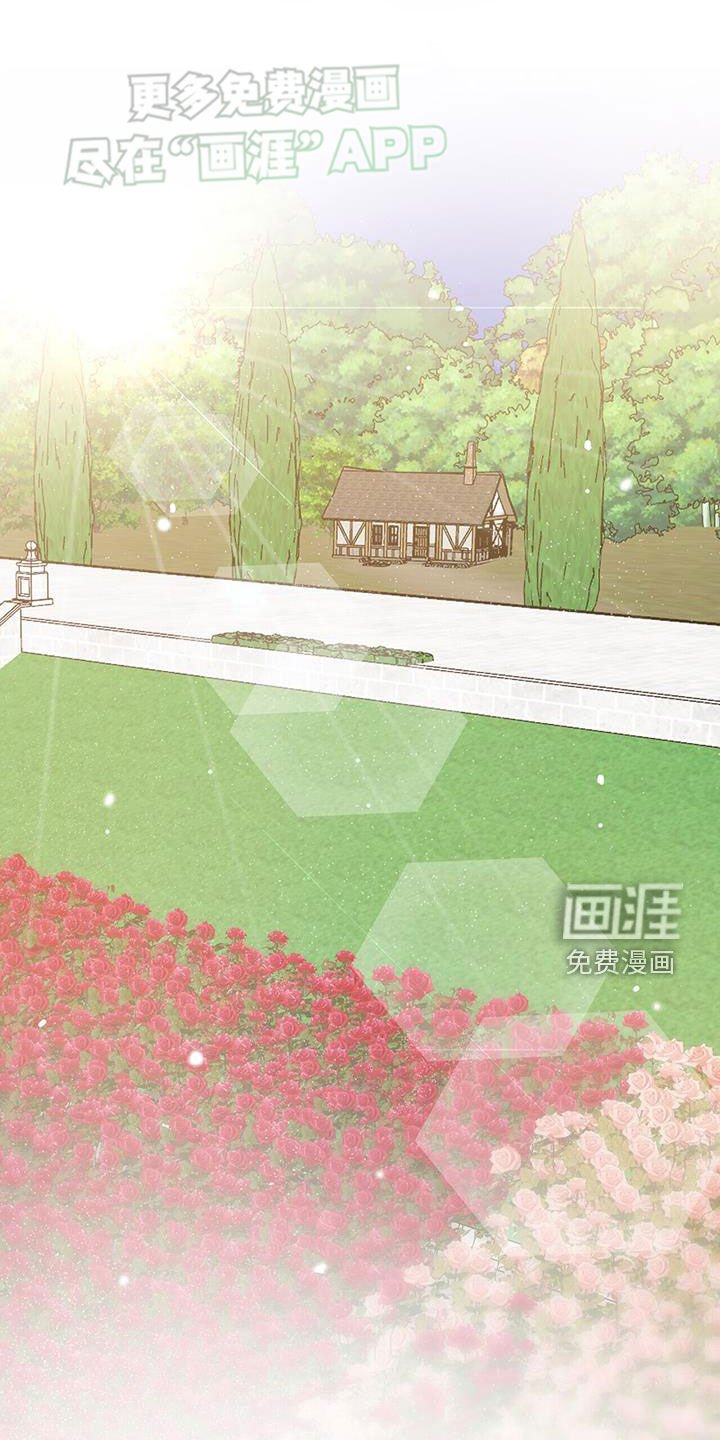 第51章：【第二季】茶会