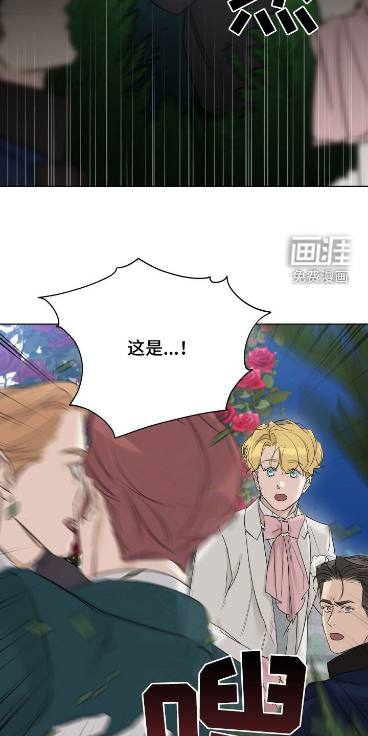 第84章：【第二季】求婚