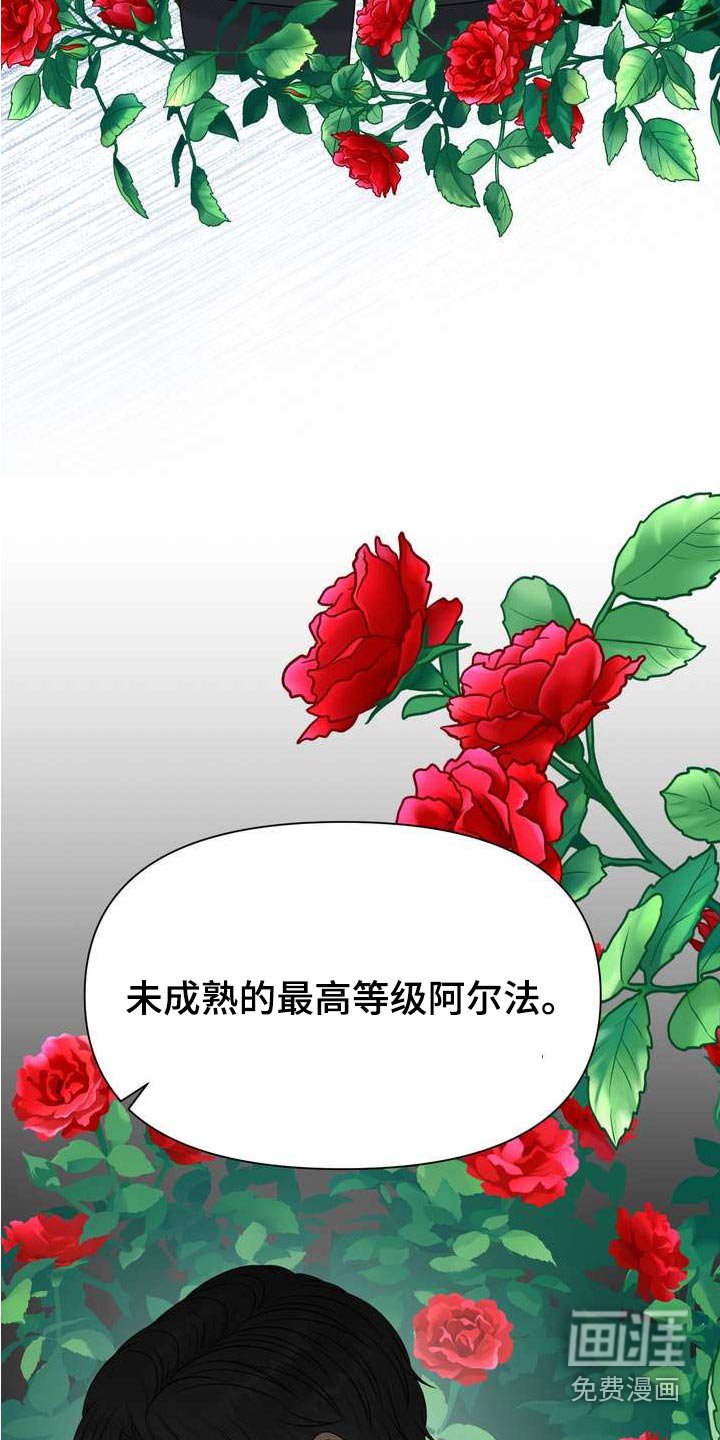 第104章：请解除