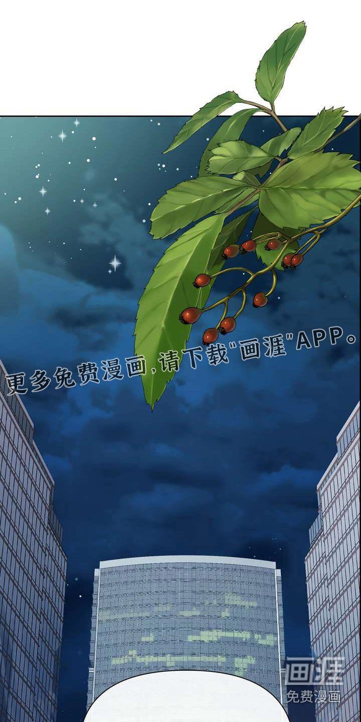 第105章：含义
