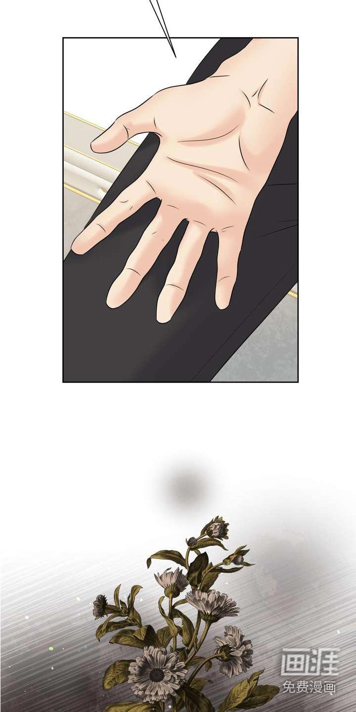 第114章：辞职
