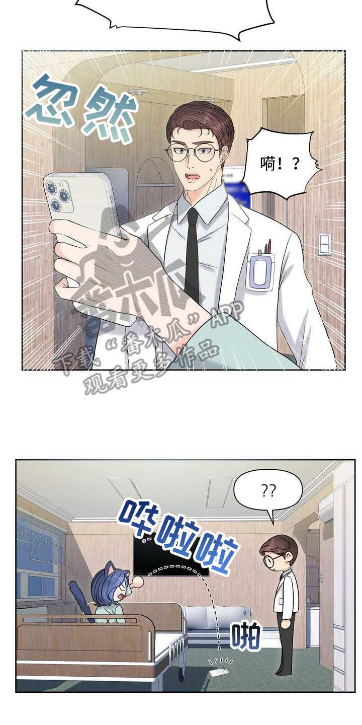 第14章：安慰